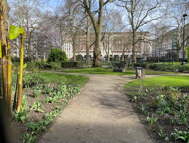 伦敦丘吉尔凯悦酒店摄政套房真实体验测评